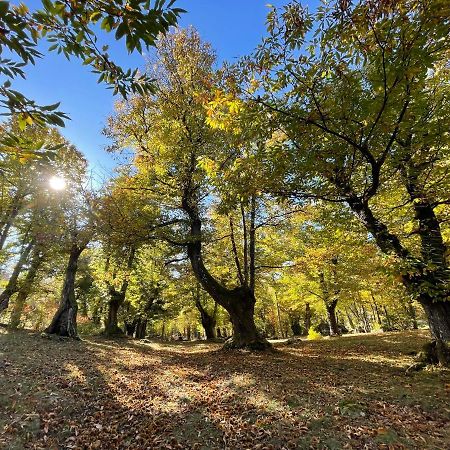 “All'Antica Dogana” Bosco  Buitenkant foto