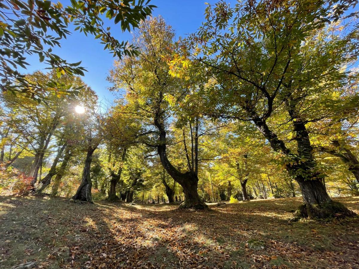 “All'Antica Dogana” Bosco  Buitenkant foto